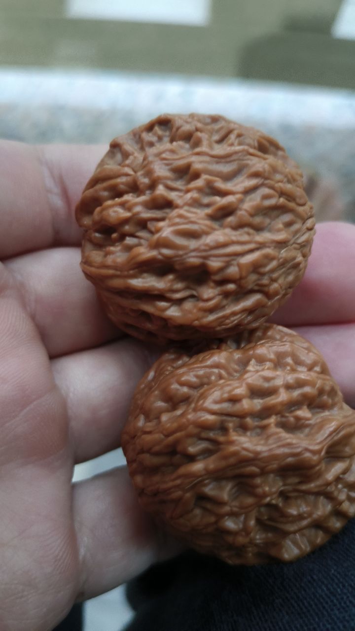 都有宝物的情况下先抽精灵弓还是吸血鬼截图