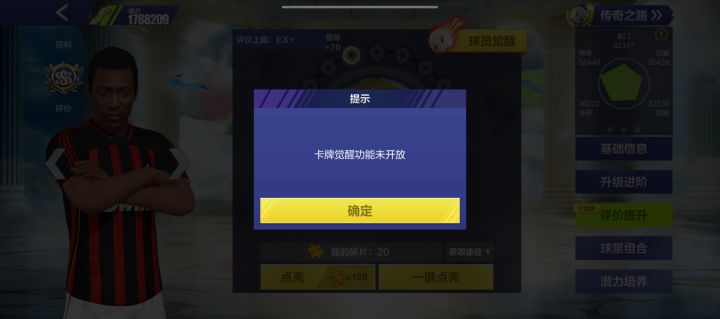 贝利无法觉醒?截图