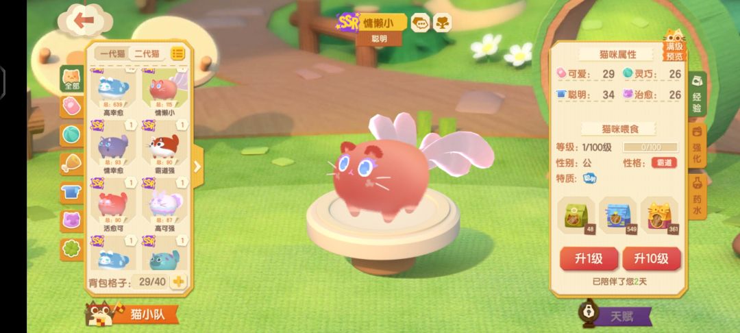 浪花节「多元创作大赏」新的鲨霓 2