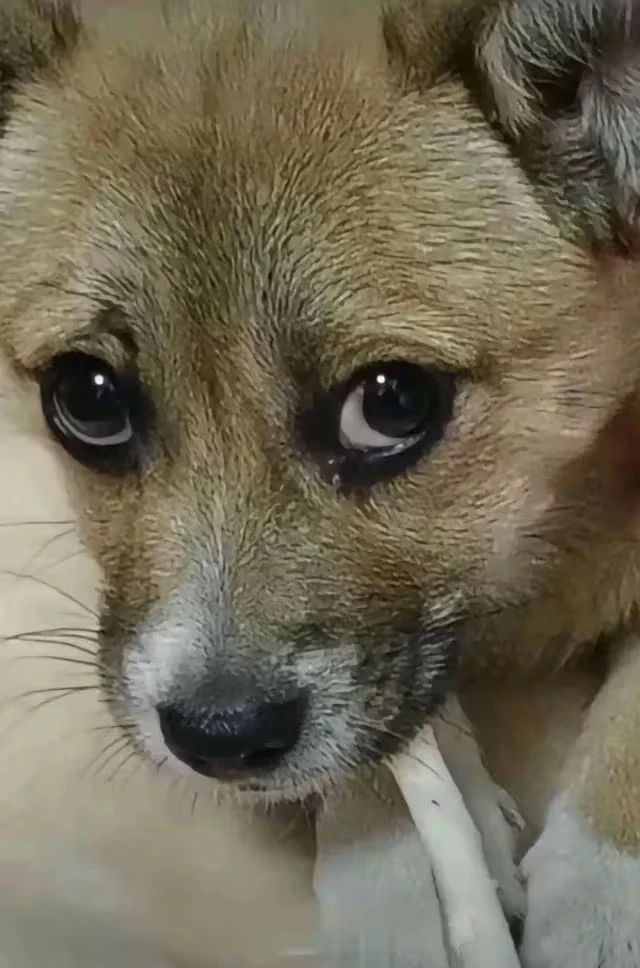 每天重复一样的截图