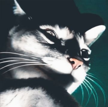 兑换码汇总