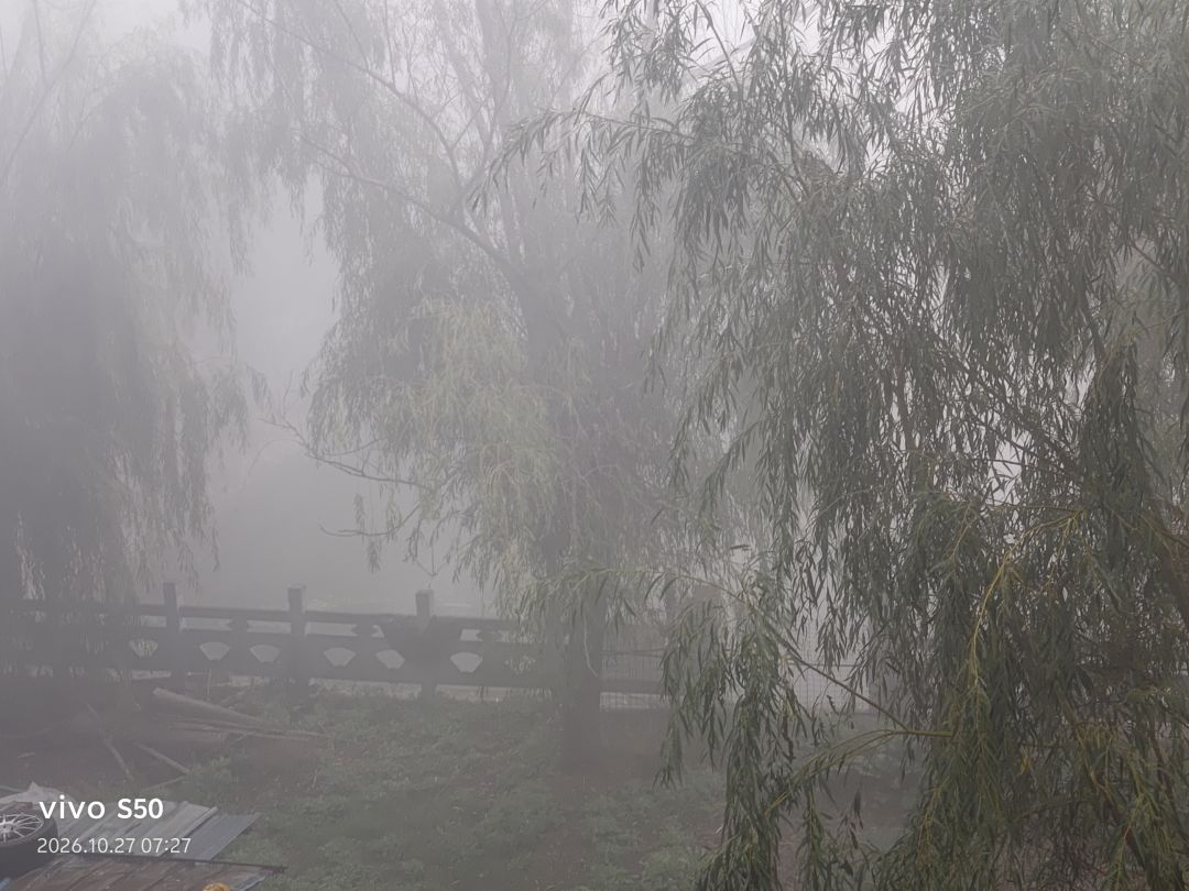 666碰上鬼雾复苏了 1