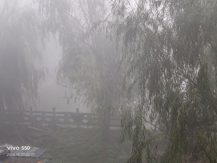 666碰上鬼雾复苏了截图