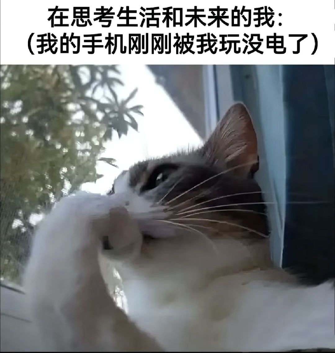 发一波梗图…(3) 1