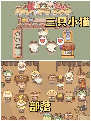 🌟和猫猫一起在沙滩打排球🌟