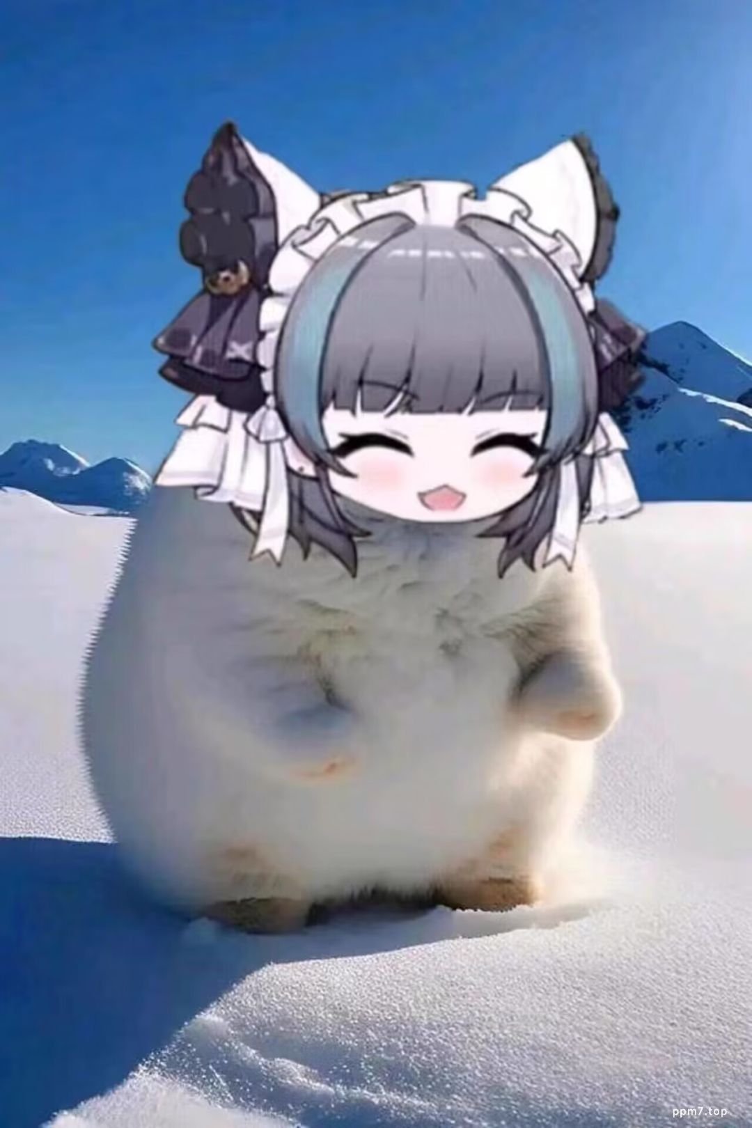 复活了 4