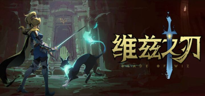 骑士与猫的诅咒之旅《维兹之刃》截图