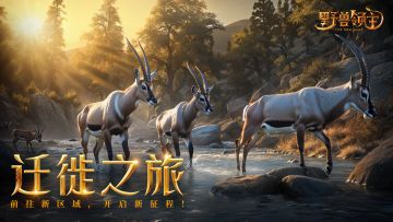 区域迁徙活动即将开启，准备好迁去哪个区了吗