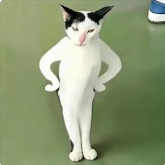 能不能整点扫福瑞皮肤截图