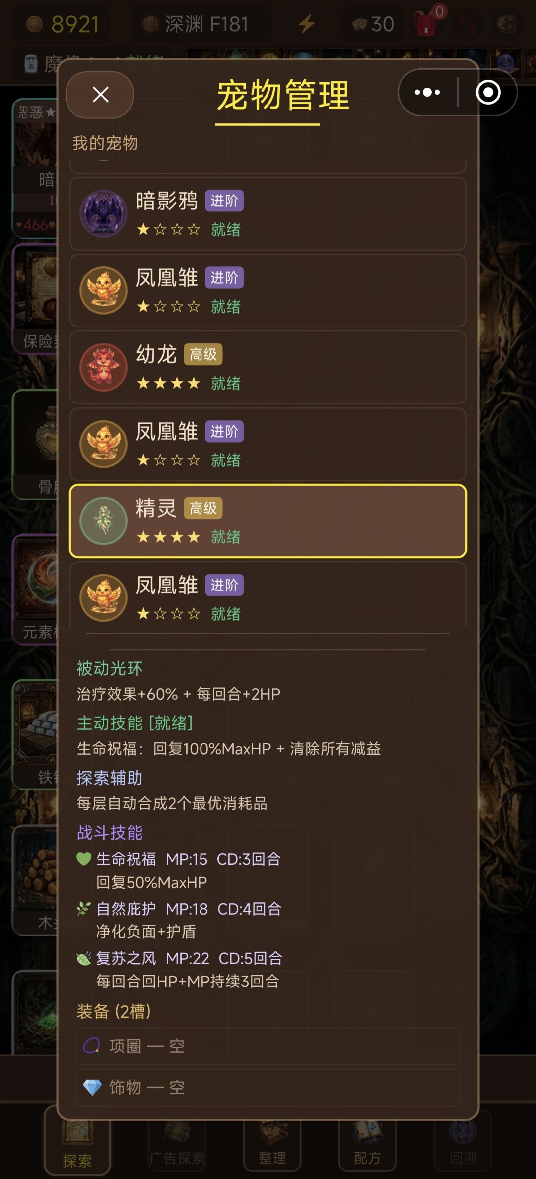中 高级宠物 2