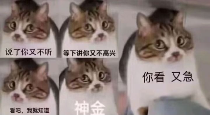 90级的3个纹章, 各自词条怎么选啊截图