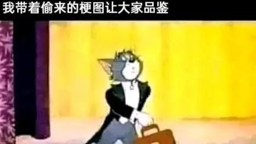 来“电”沙雕图#74