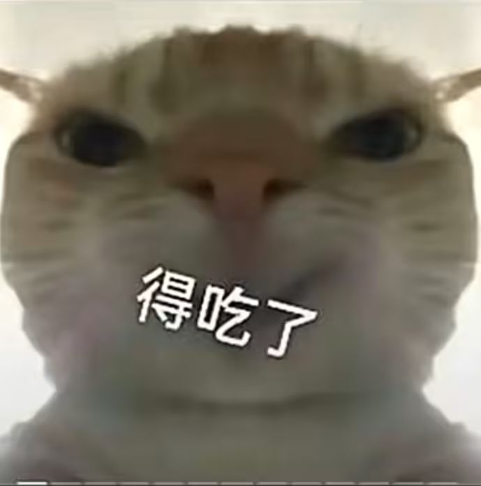 牢开的恩情还不完,原来实验室真有5级猫 2