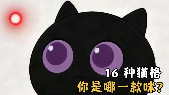 猫咪也有 16 猫格？来测测你是 16 种猫格里的哪只咪！截图