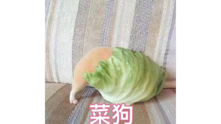 终于刮痧刮死了,,,,截图
