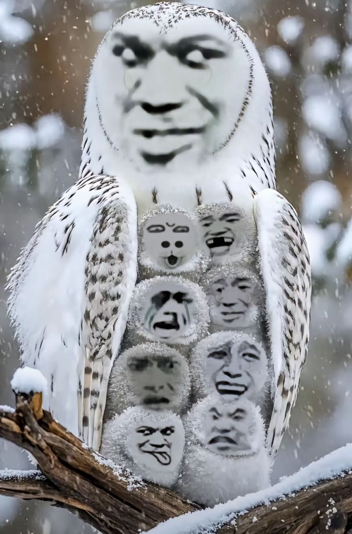 求助 7
