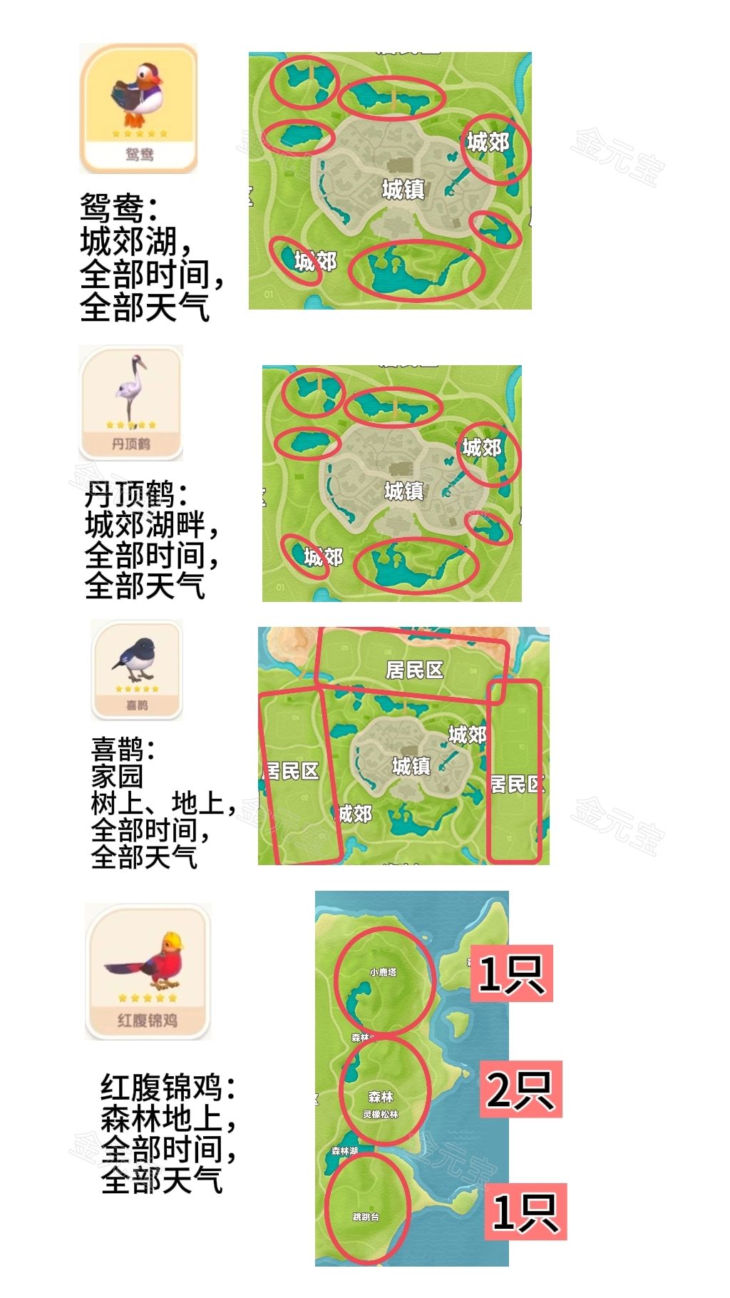 明天雨天!新春鸟可能5星! 3