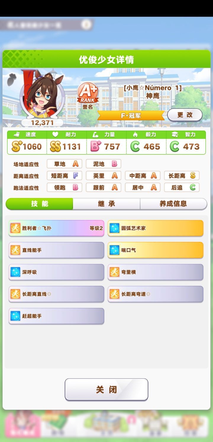 最后半年坑了截图