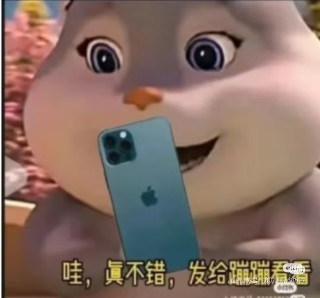 动态图片 5