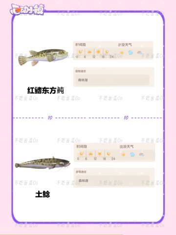 心动小镇潮流季限定鱼类图鉴