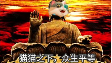 猫猫佛教
