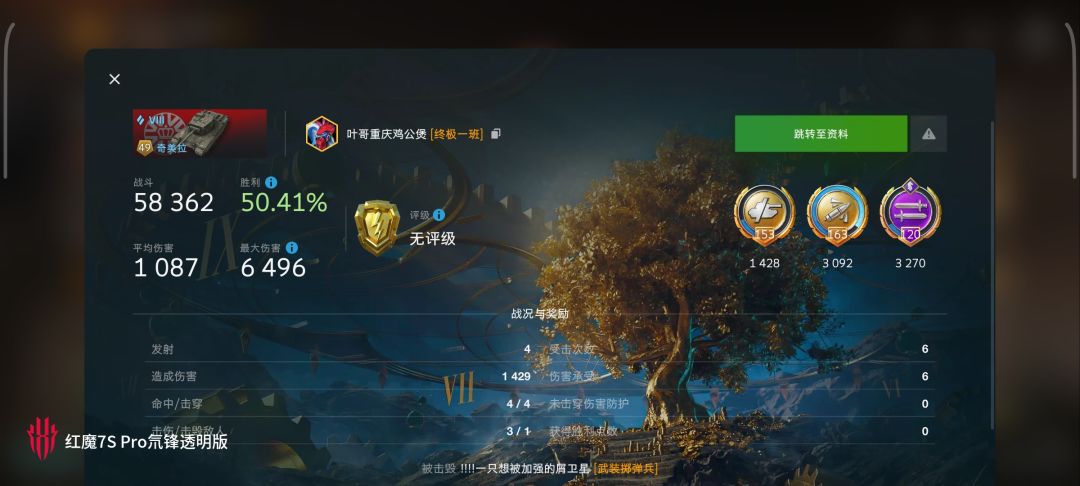 动态图片 12