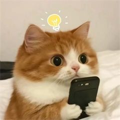 流星蝴蝶剑跨服解说截图
