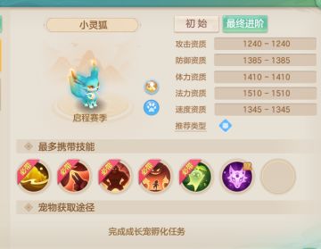 0-65级新手宠物攻略，不知道养哪个宠物的看过来