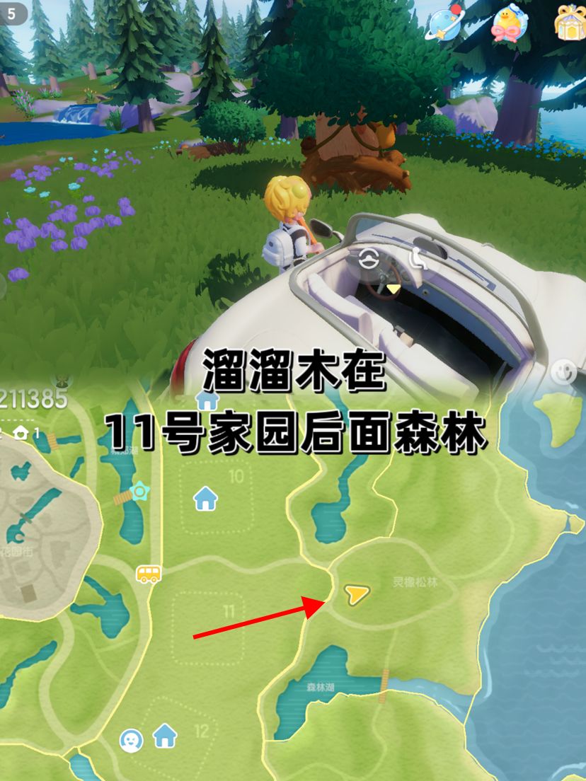 9.11溜溜木萤石位置小镇天气 3