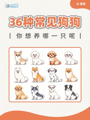 心动小镇 36种常见狗狗科普，你想养哪只？