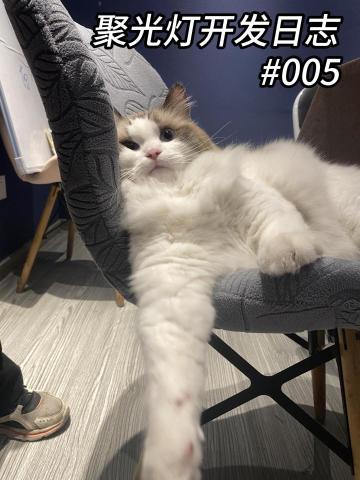 大胃袋的聚光灯游戏开发日志#005