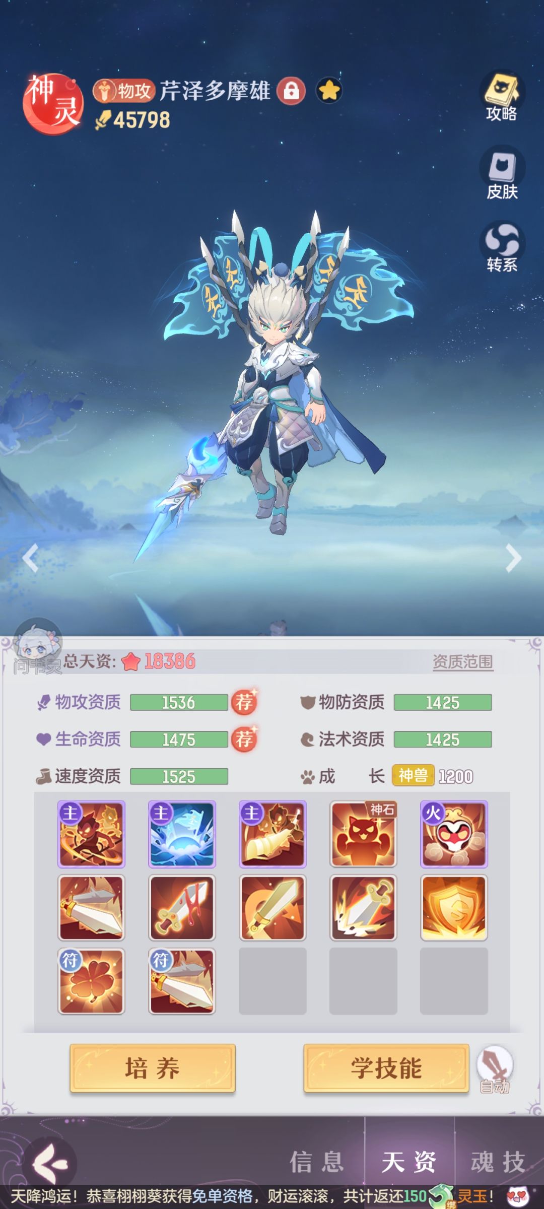 大佬们帮我看下这几个宠物打书对吗 3