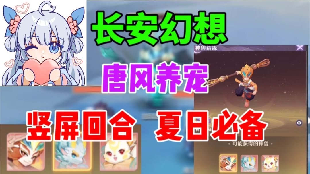 video-3581804