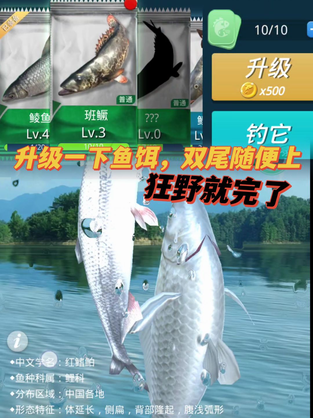 在下钓王之王，人送绰号狂野先生，不知阁下 3