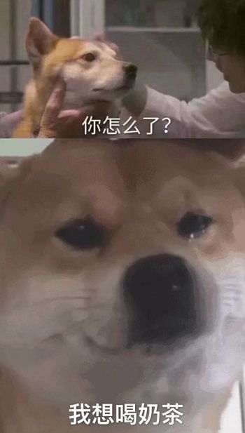 肉肉周报2.0——碎碎念第十一期无意外的来了