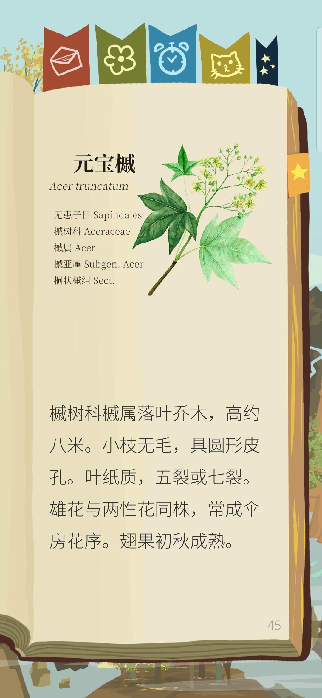 发现了一款佛系养老且治愈系游戏! 3