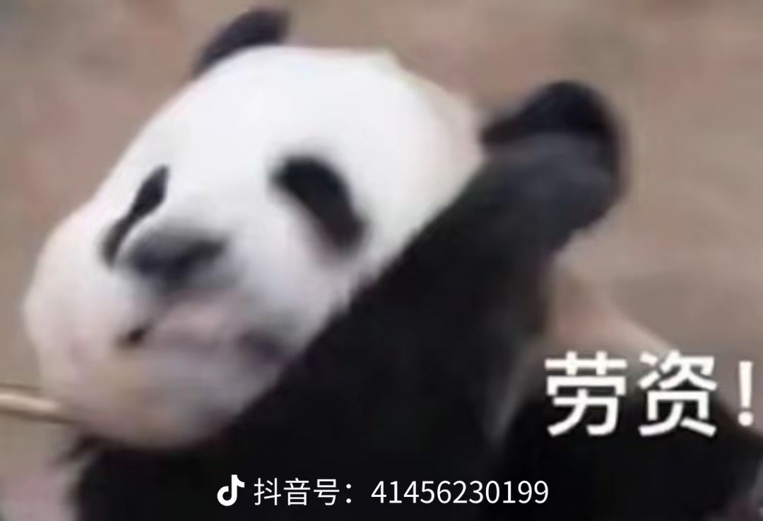 为毛这游戏没有一键扫荡 1