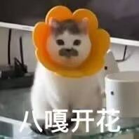 无人在意的角落,有个神仙刷了三千万声望 2