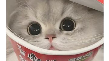 盛世②牧师·杨玉环解析①