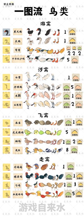 【一图流-鸟类】