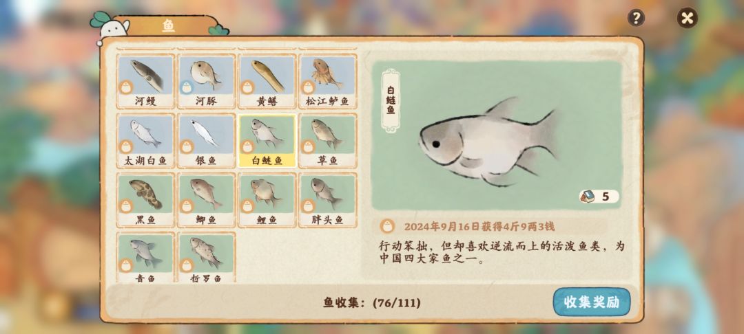 桃源深处有人家 白鲢鱼 3