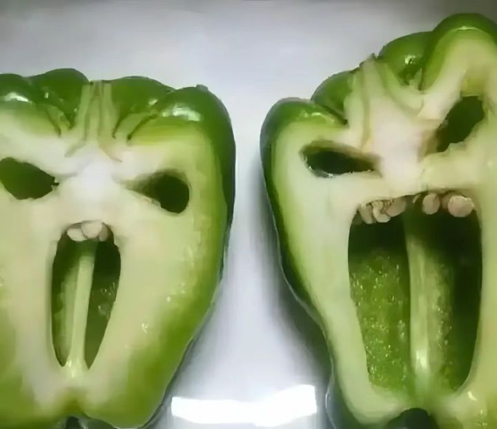 老玩家回坑截图
