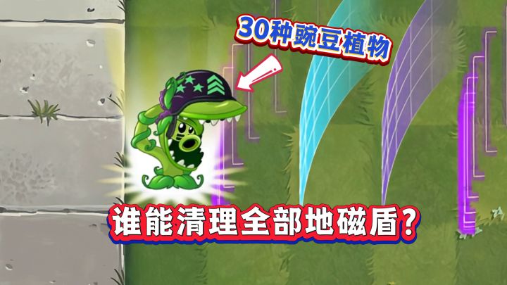 实测30种豌豆!谁能一个大招清空全部地磁盾?截图