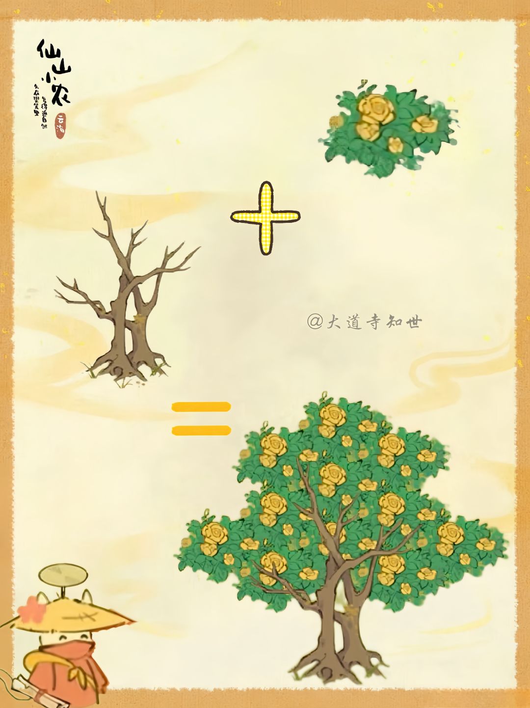 给秃树植发 2