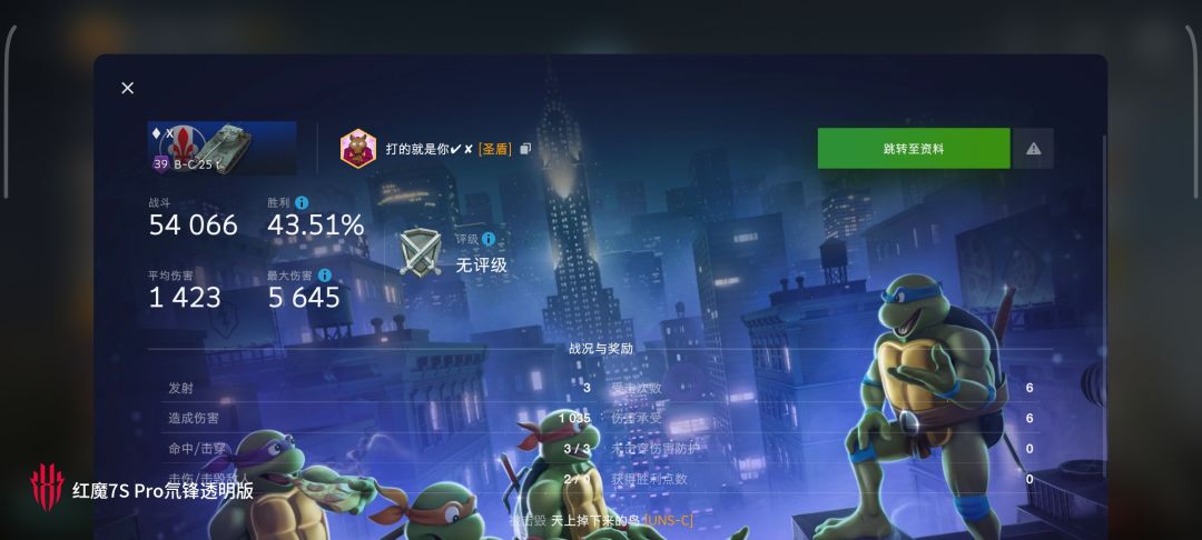 动态图片 16