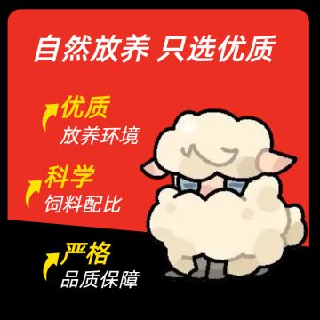 【开发者日志】动物园里传来了一些动静...