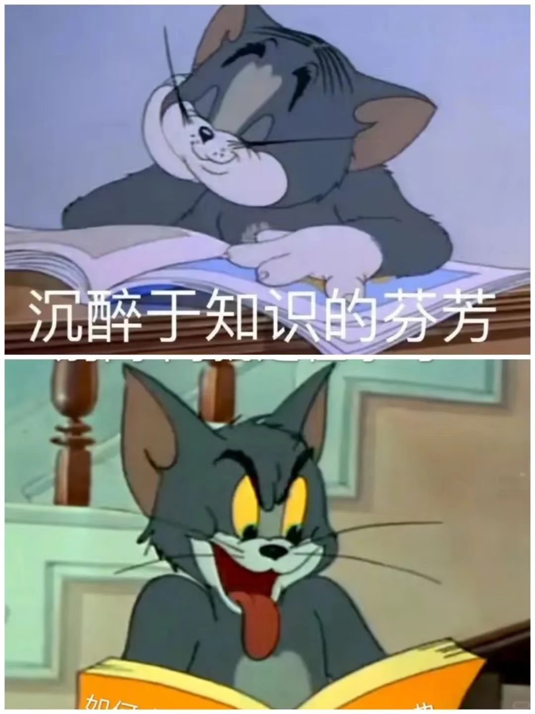 小生活悠闲小镇物语 1