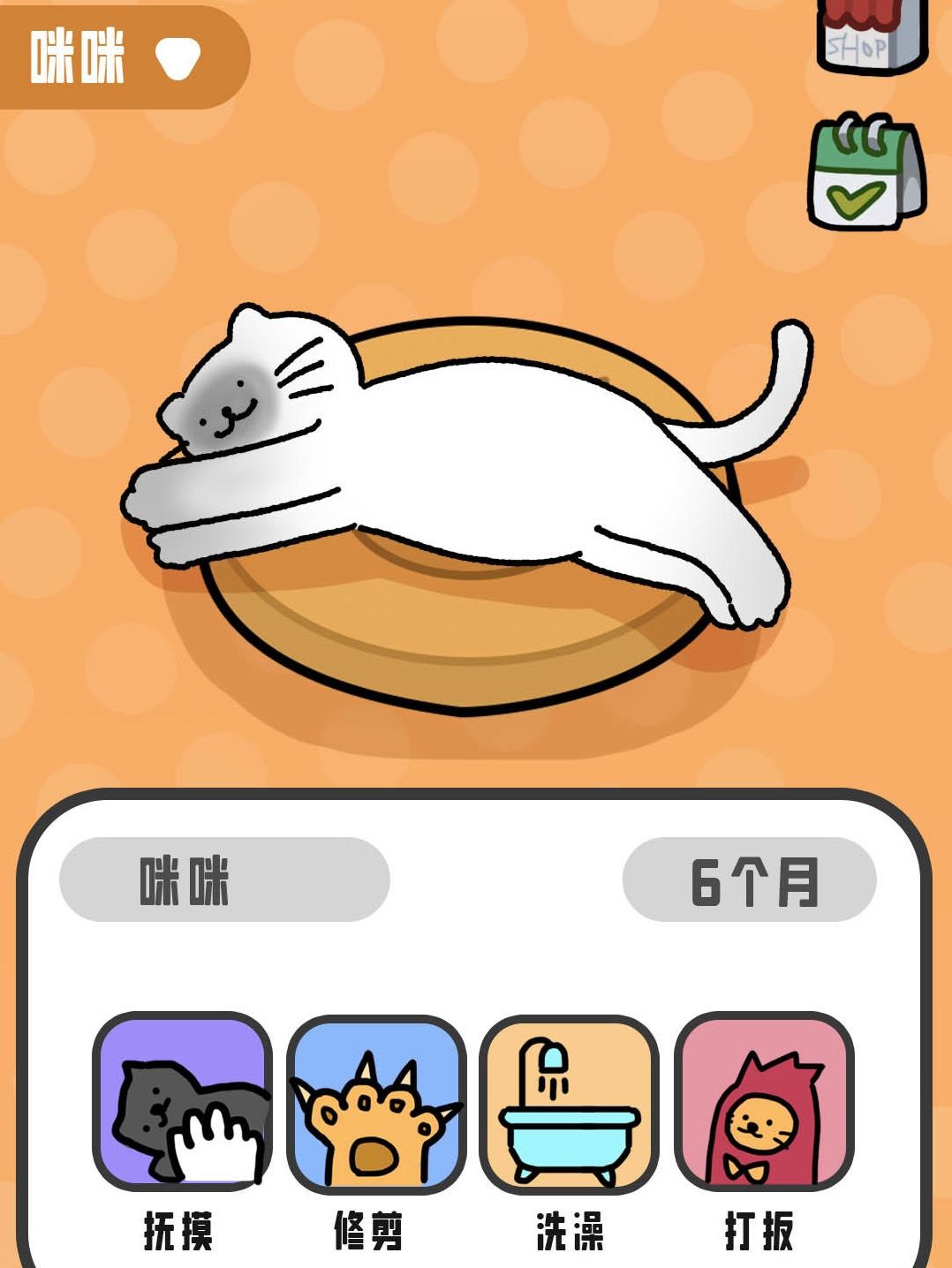 ✨二选一，你会养那只猫✨ 2