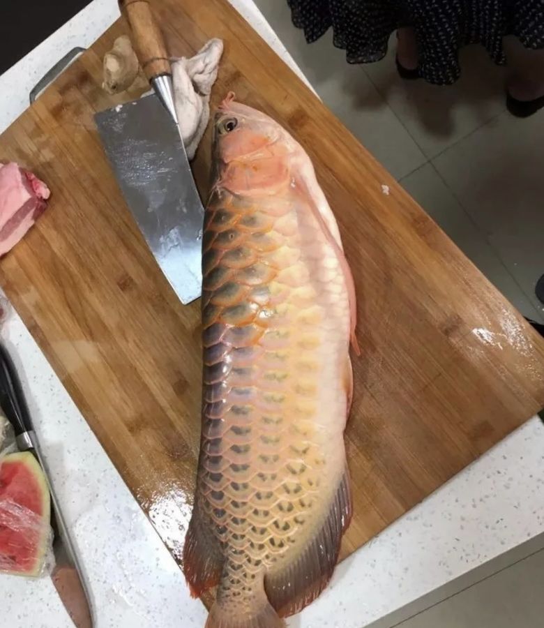 好久不拍写真啦,去拍一张! 2