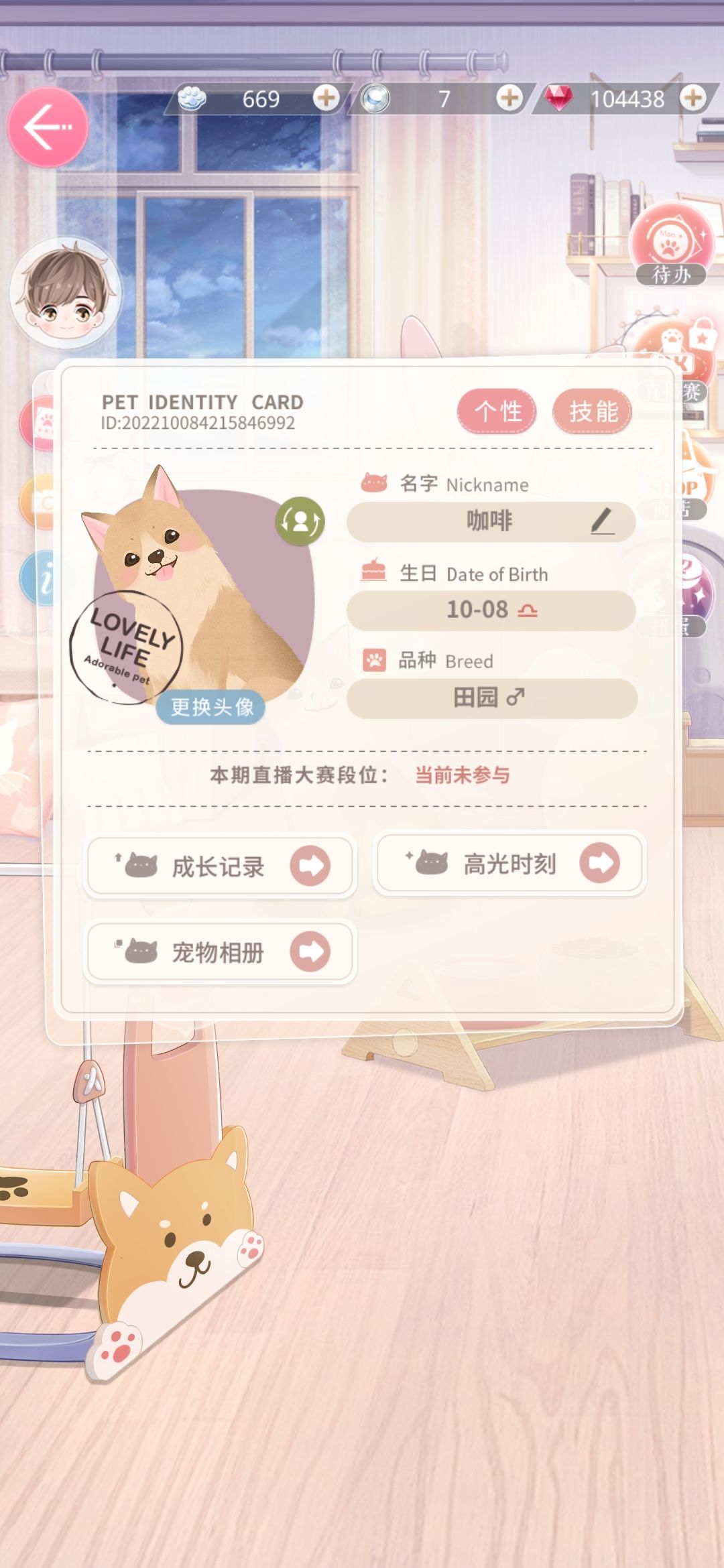 动态图片 2